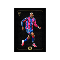 PANINI PITCH KINGS INTERNATIONAL